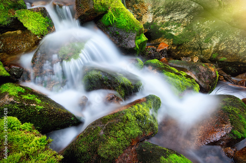 Mountain forest creek cascading and flowing through moss-grown rocks 