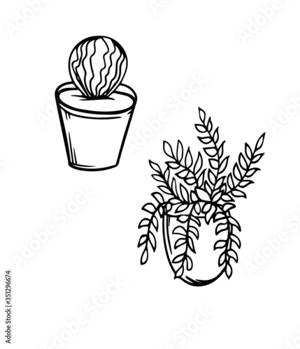 cactus flowerpots plants homemade doodle style sketch graphics isolate on white decor elements