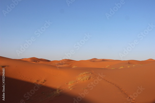 気軽にサハラ砂漠が体験できる メルズーガ（モロッコ）
