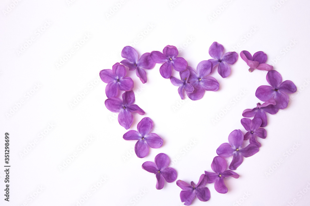 Heart made of fresh spring violet lilac flowers on the white background isolated. Top view. Free copy space. Horizontal image.