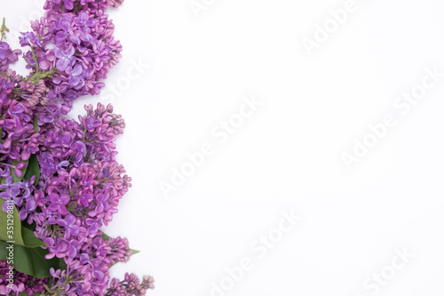 Spring fresh flower concept with violet lilac with green leaves on the white background isolated on the left side. Free copy space. Top view