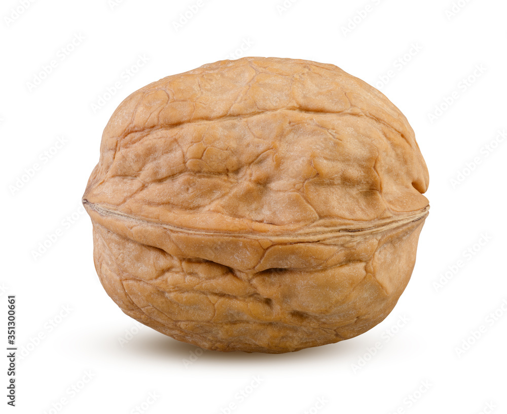 Whole walnut isolated on white background. Single brown greek nut in husks close up Whole walnut isolated on white background. Single brown greek nut in husks close up