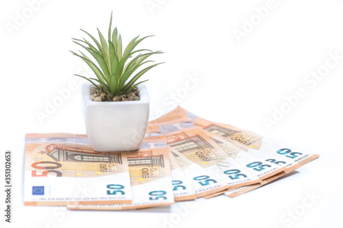 White pot with green plant and stack of 50 euro banknotes isolated on a white background. Financial crisis. Purchasing power of money