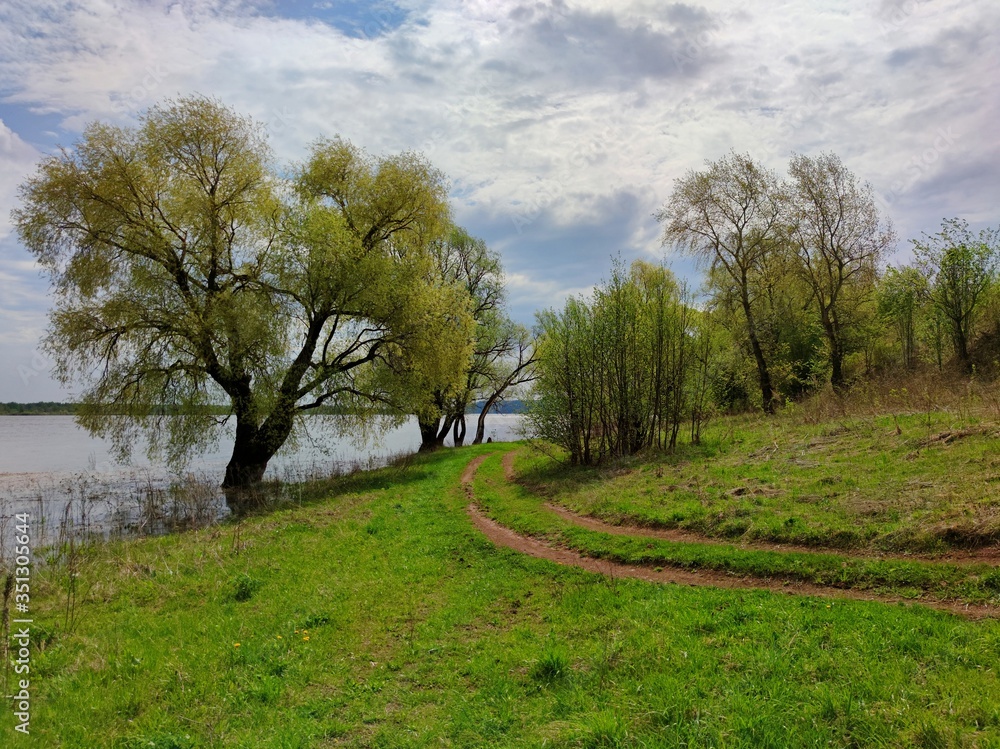 turn of a rural road to the river bank between green trees on a background of blue sky with clouds