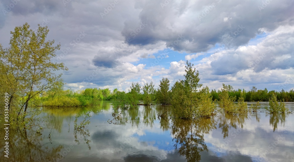 trees in the water on a flooded riverbank against a blue sky with clouds trees in the water on a flooded riverbank against a blue sky with clouds