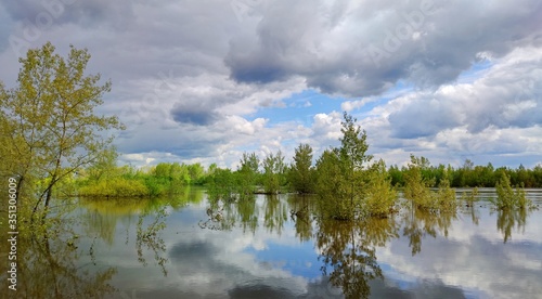 trees in the water on a flooded riverbank against a blue sky with clouds