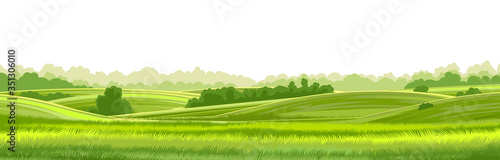 Fotografia Rural hills  landscape vector background on white