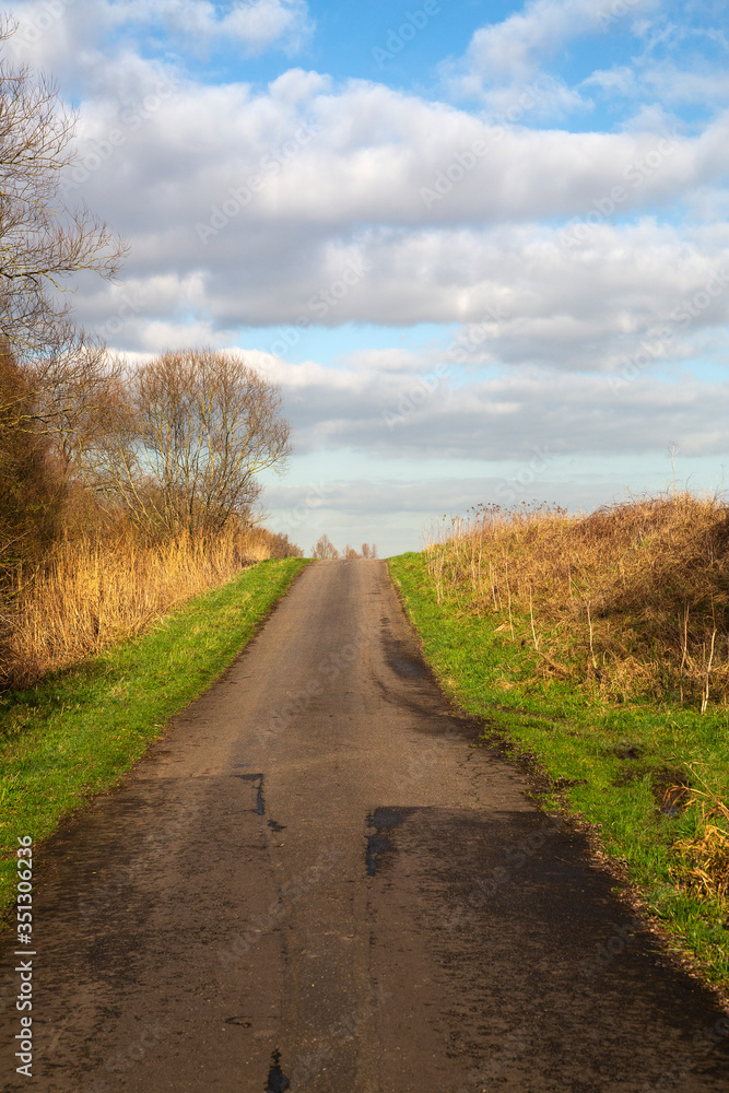 Naklejka premium Asphalt road climbing to top of dike, Biesbosch NP, Netherlands