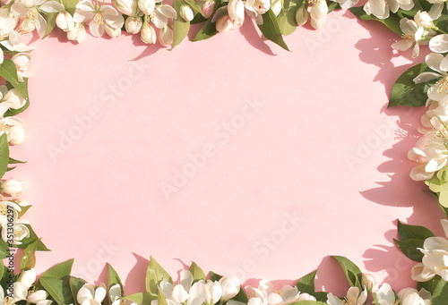 Flower background  white spring flowers on pink background. Space for text. The view from the top. Frame of flowers.