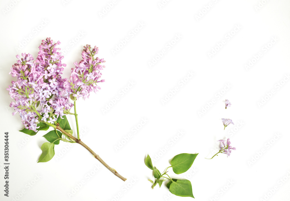 Spring lilac flowers bloom on a branch on a white background. White Notepad with flowers. Frame of flowers.