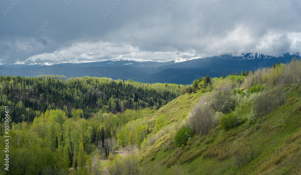 Wide Canadian Wilderness in Spring Time Wide Canadian Wilderness in Spring Time
