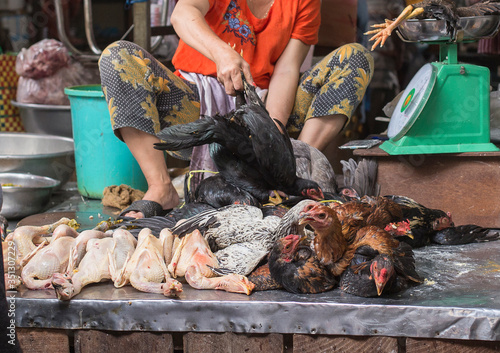 Live and dead chicken stall at Kandal market in Phnom Penh in Cambodia
