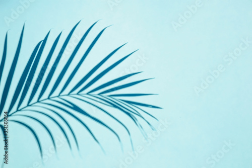 Top view of natural tropical shadow of palm leaf on a blue background. Flat lay. Minimal summer concept with palm leaves