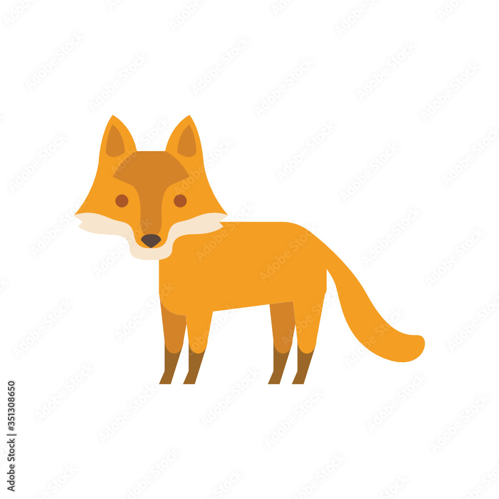 Obraz premium Vector illustration of a fox