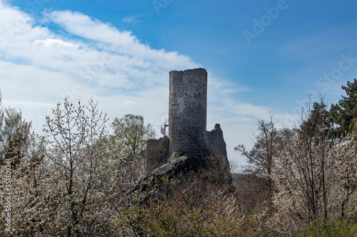 old romantic ruin of lonely castle in the forest