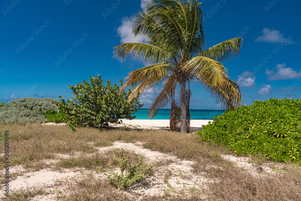 Caribbean paradise Island of Anguilla Antilles