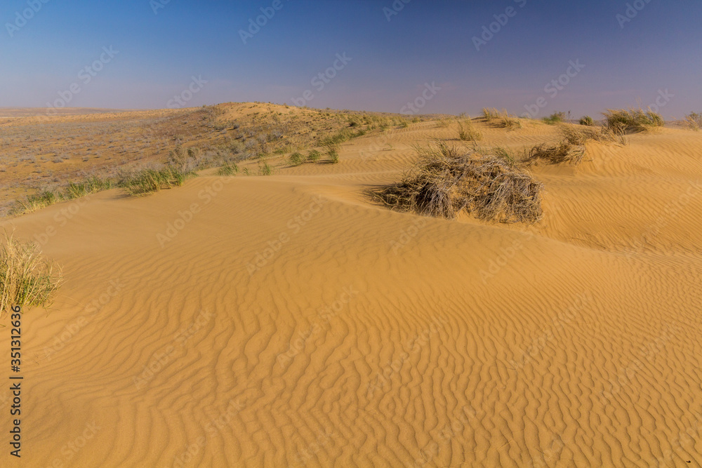 View of Karakum Desert in Turkmenistan