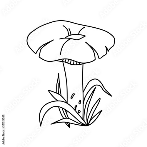 Black and white vector image of Russula mushroom with leaves and grass.