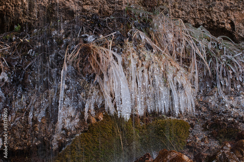 eiszapfen an ast Strauch in einer felswand h  ngend an den triefen in hinterthal pinzgau alpen nationalpark hohe tauern