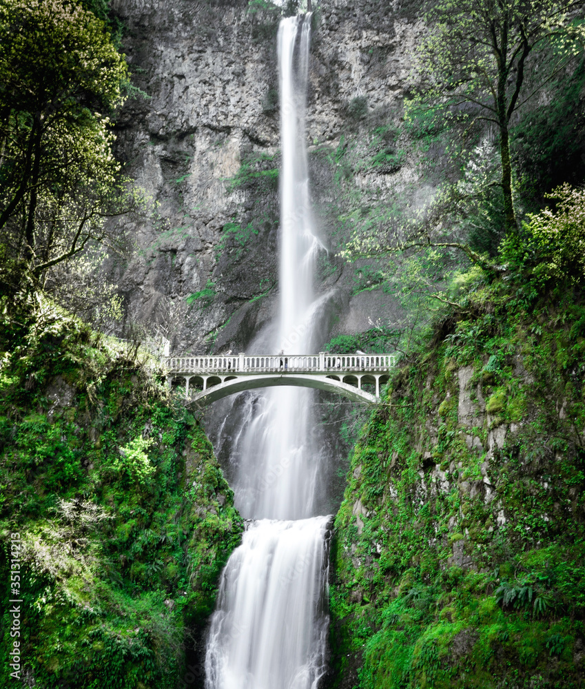 Fototapeta premium waterfall in the forest. Multnomah falls in Portland, Oregon.