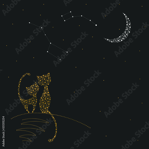 Two cats in love sit next to each other at night. Vector image drawn with dots. A cat and a cat look at the constellations of URSA major and URSA minor. Greeting card with gold elements.
