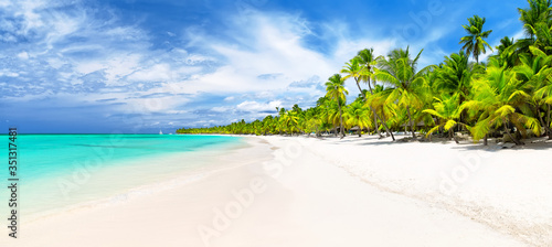 Photo Coconut Palm trees on white sandy beach in Caribbean sea.
