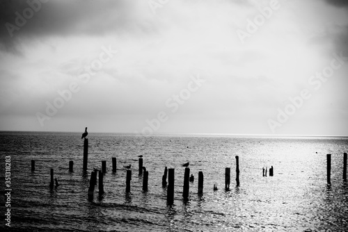 old wooden pier © Anthony