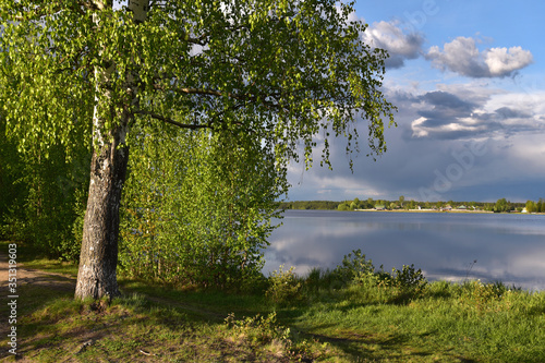 Spring trees on the banks of a beautiful forest lake