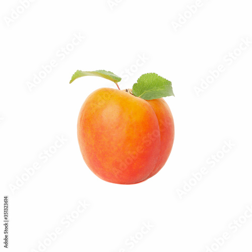 Fresh tasty apricot isolated on white background