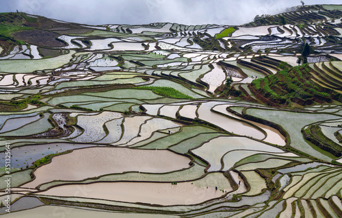 Panoramic view of terraced rice fields in Yuanyang county, Yunnan province of China