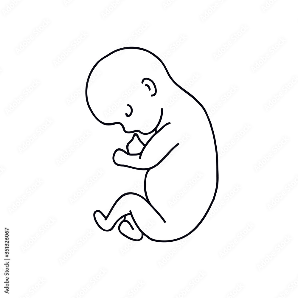 fetus doodle icon, vector illustration fetus doodle icon, vector illustration