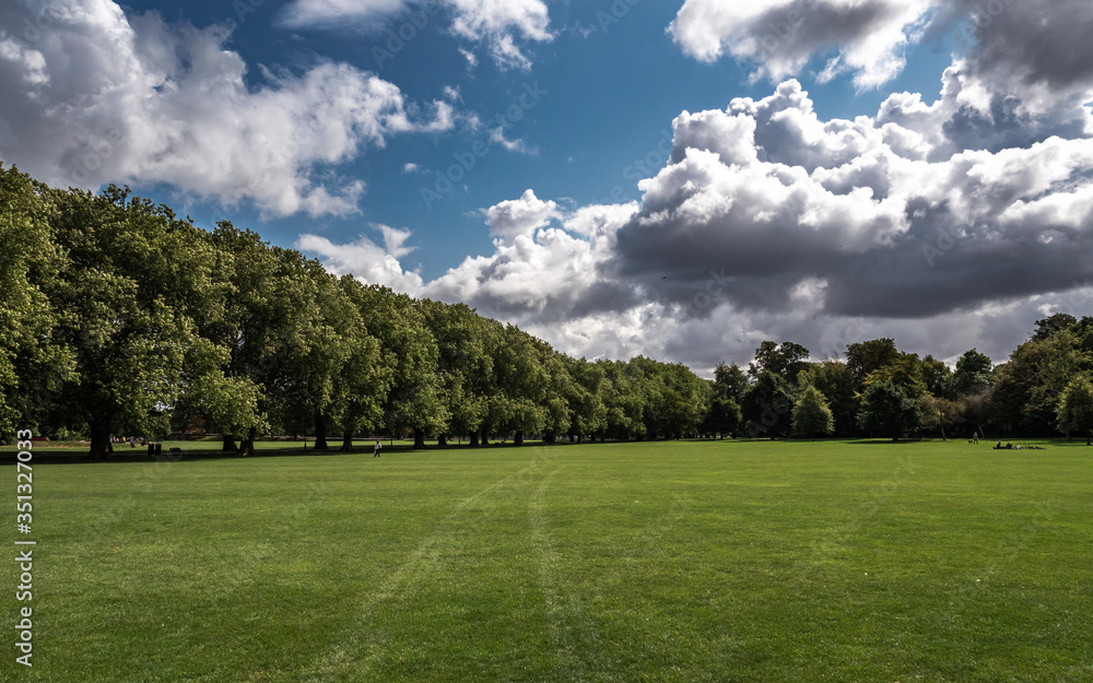 The park in Cambridge during the summer. Trees, grass and blue sky.