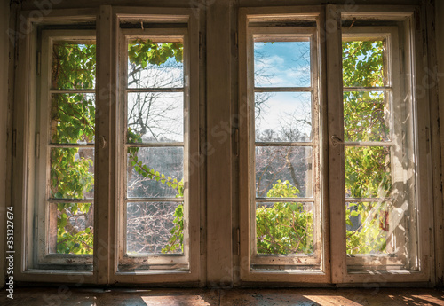 Large antique window that shows a beautiful natural landscape with branches, leaves, trees and a cloudy blue sky