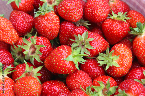 ripe juicy garden strawberries. Natural strawberry background.