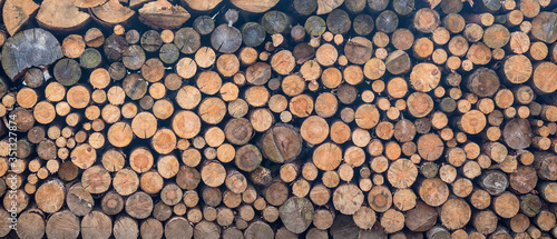 stacked firewood - texture background of wood logs