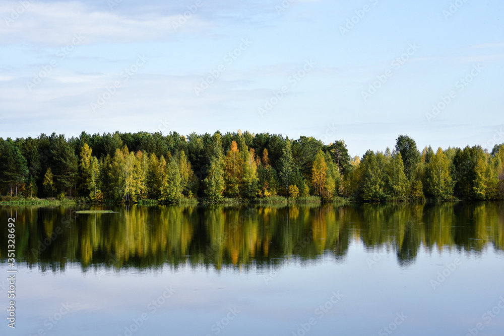 Summer forest on the lake is full of bright colors against a blue clear sky, reflection in calm water
