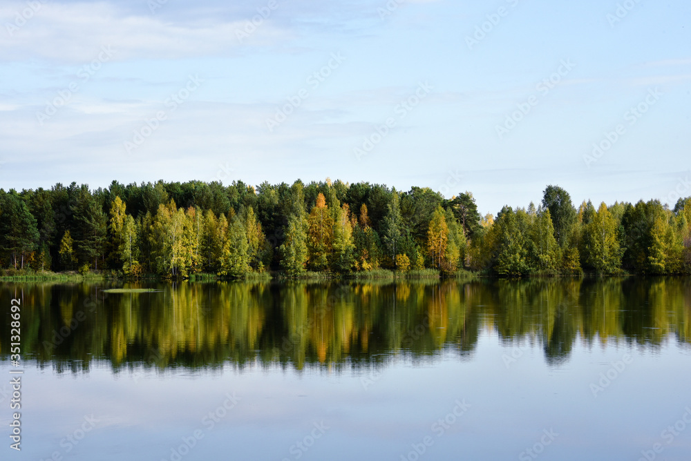 Summer forest on the lake is full of bright colors against a blue clear sky, reflection in calm water Summer forest on the lake is full of bright colors against a blue clear sky, reflection in calm water