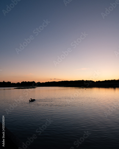 Two ducks are swimming away as the spring sun sets over a calm lake in the town of Lund, Sweden