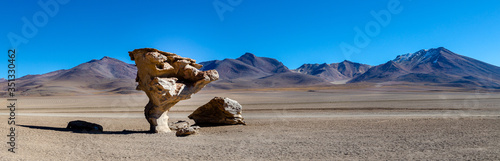 Panoramic photo of Arbol de Piedra near Uyuni in Bolivia. Rock formation. Selective focus.