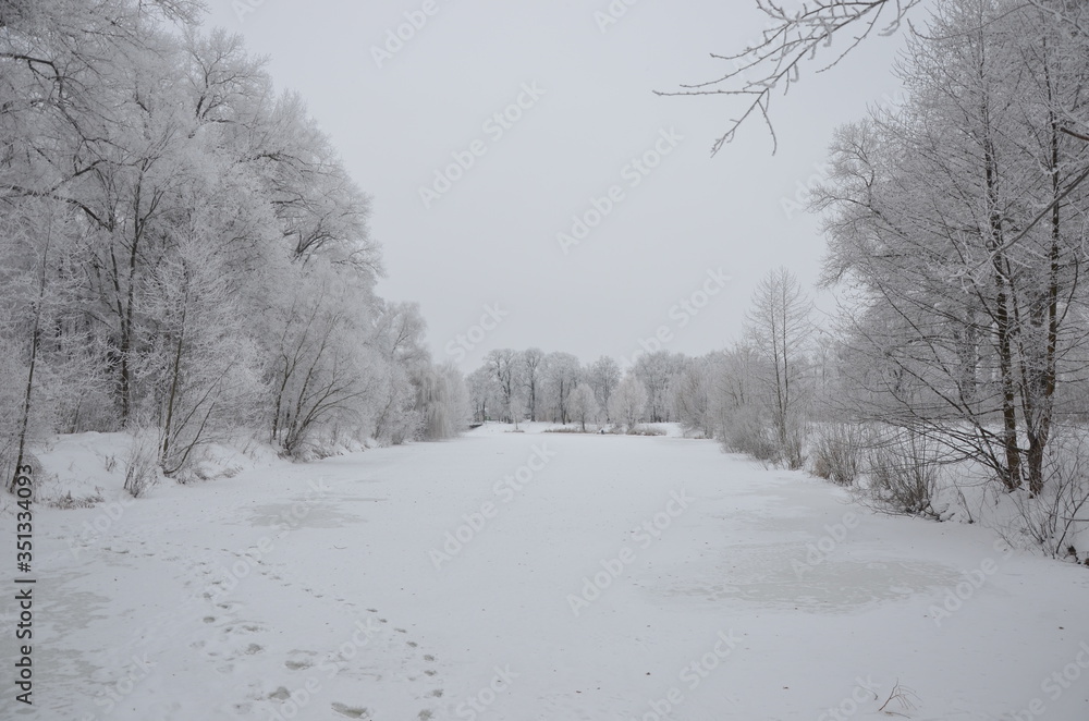 Fototapeta premium Frozen lake and snow-cowered trees.