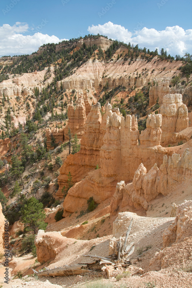 Fototapeta premium Bryce Canyon National Park