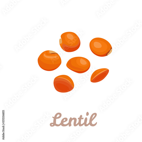 Red Lentil isolated on white background. Beans Icon. Vector illustration of legumes in cartoon flat style. 