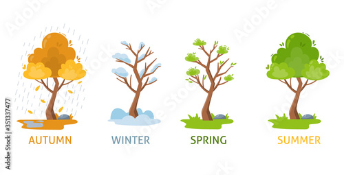 Four seasons of tree. Autumn, Spring, Summer, Winter. Vector illustration isolated.