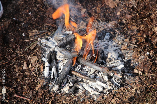 Wallpaper Mural burning charcoal on a barbecue Torontodigital.ca
