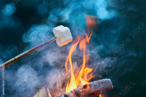 White Marshmallows on sticks are being grilled over the fire flames. Marshmallows are roasted on bonfire