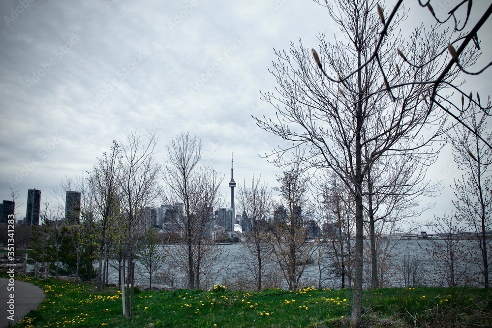 Obraz premium trees in the city