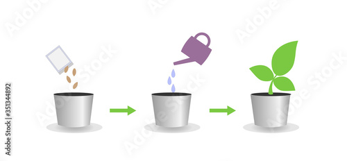 Vector illustration of the crop growing process