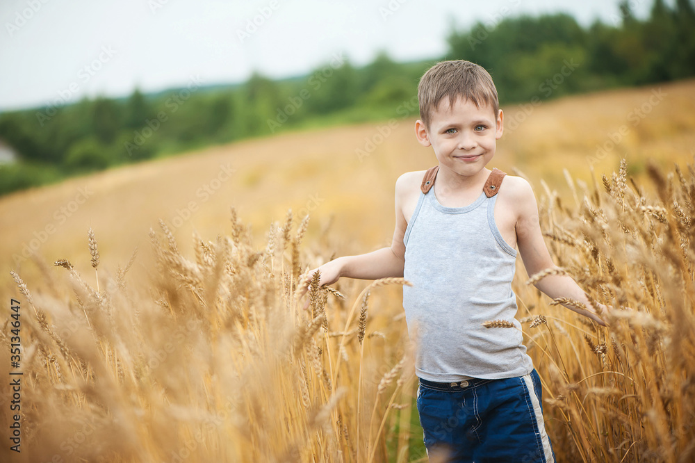 Little cute boy in a gray T-shirt walks on a wheat field in summer. The concept of health, freedom, childhood and joy. Little cute boy in a gray T-shirt walks on a wheat field in summer. The concept of health, freedom, childhood and joy.