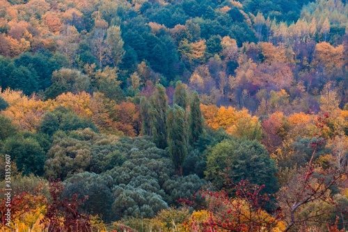 magnificent mountain forest with green, yellow and orange autumn leaves, nature masterpiece on cloudy and misty October morning, ecotourism active rest concept