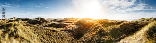 Denmark, Henne Strand, Dune landscape